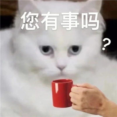 一看就笑的好玩表情合集 令人笑喷的表情最新出炉