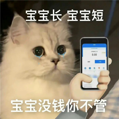 全新的很好用的微信表情合集 宝宝长宝宝短宝宝没钱你不管