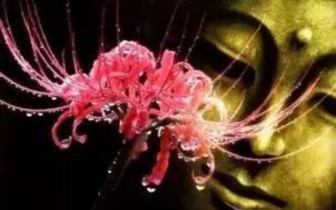 不见不散下一句怎么接（不见不散，不还不归.）