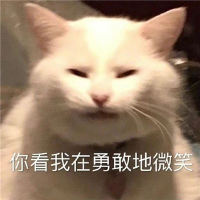 特有意思的表情很好用 你看我在勇敢的微笑