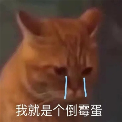 珍藏已久的好玩表情合集 用过的最沙雕的表情