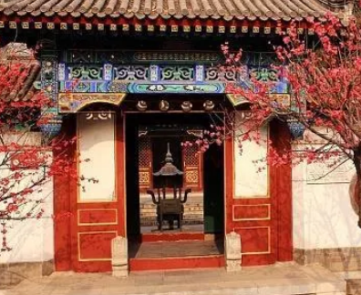 在小说红楼梦中贾雨村为何总是能遇到贵人相助？