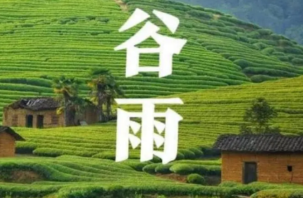 今日谷雨：谷雨三候指的是什么？谷雨时节有哪些习俗？