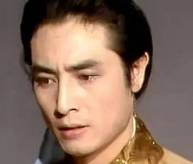 在小说红楼梦中贾芸与小红之间的爱情真的是完美的吗？