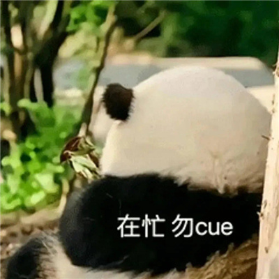 微信里面一定要存的表情 2023聊天必备的逗比表情