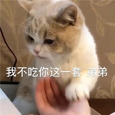 让人心情愉悦的快乐表情 我不吃你这一套弟弟