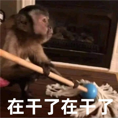 逗人开心的表情最新版 逗朋友开心的表情合集
