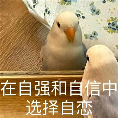 你值得拥有的快乐表情包 值得收藏的优秀表情