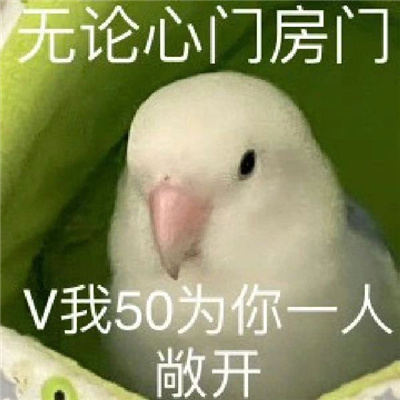 2024小众款的表情很特别又好用 各种有趣的表情大全