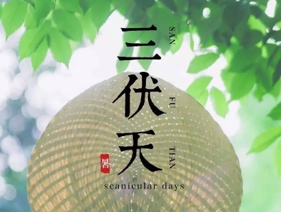 揭秘三伏天：它的含义与命名由来