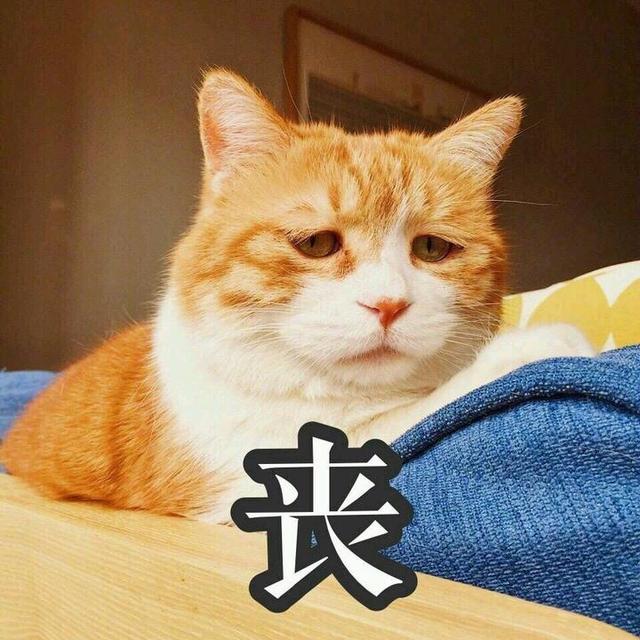 怀孕初期适合出去旅游吗（怀孕了到底还能不能旅游）