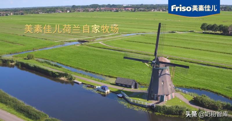 美素佳儿奶粉怎么样(美素佳儿奶粉测评)