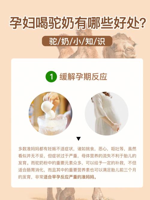 孕妇能喝骆驼奶吗(怀孕的妈妈能不能饮用驼奶)